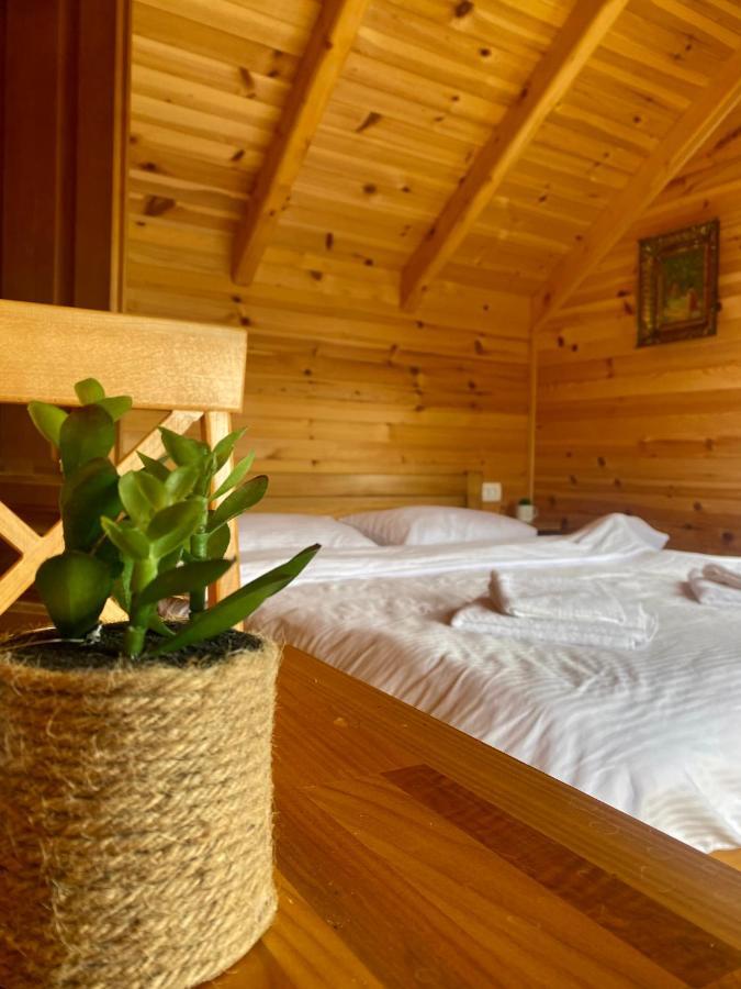Villa Magia Di Montagna à Žabljak Extérieur photo